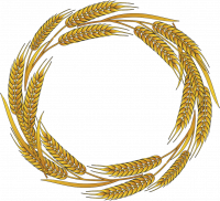 Weizenkorn Grafik